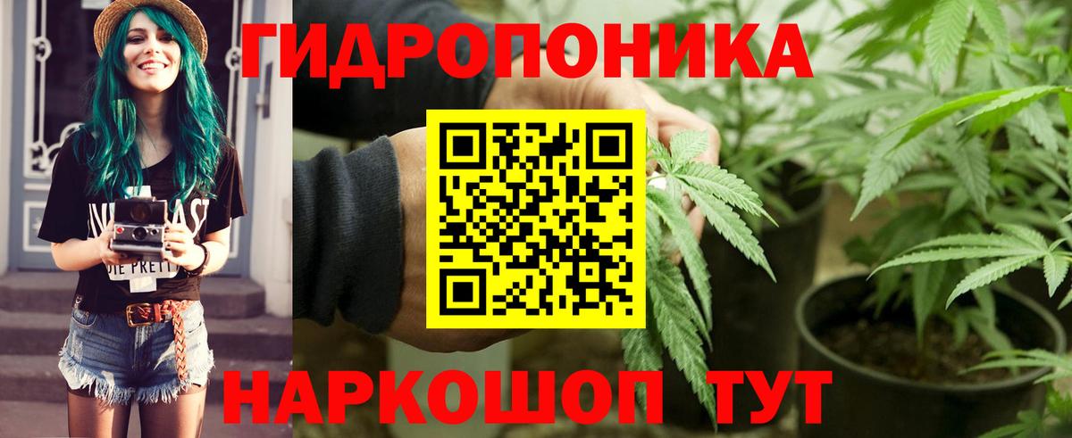 Бошки марихуана сатива Ступино